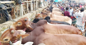 Over 1 crore sacrificial animals ready for Qurbani this year: Minister