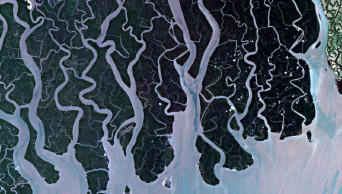 Telecommunications to be revived in Sundarbans