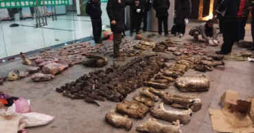 China virus outbreak revives calls to stop wildlife trade