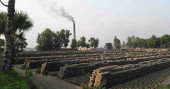 5 brick kilns fined Tk8 lakh in Sylhet