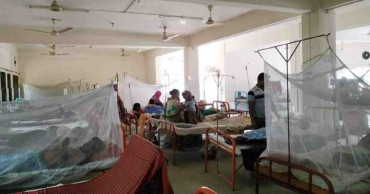 Dengue: 248 more hospitalized in 24 hrs with no new death
