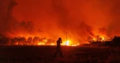 Firefighters in Greece have discovered the bodies of 18 people in an area with a major wildfire