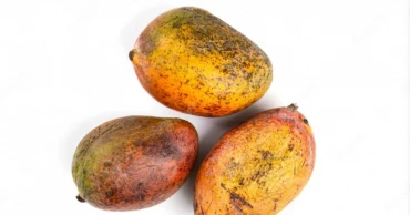 Clash over ‘selling rotten mangoes’ leaves 75-year-old dead in Lalmonirhat