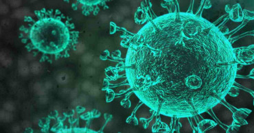 Coronavirus: 2 die, 6 news patients detected in five districts