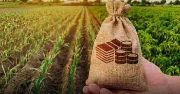 Bangladesh earmarks Tk 385 billion for agriculture, aiming for 10% annual growth by fiscal 2026
