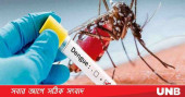 13 new dengue cases reported in 24 hrs