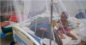 39 more Dengue patients hospitalized in 24 hrs