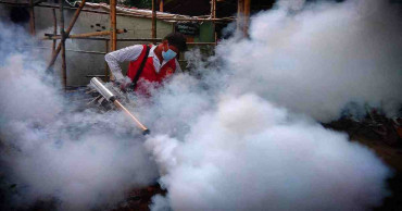 Two city corporations, a ministry fighting to liberate Dhaka from mosquito menace