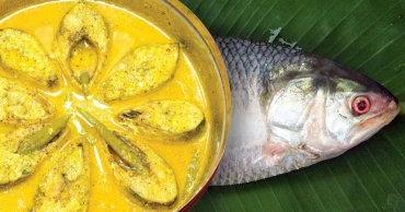 Hilsa export to India: Bangladesh earned $1.36cr this year so far
