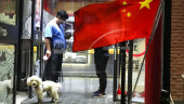 China city curbs dog walking, bans them in parks, stadiums