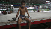 The controversial world of Thai child kickboxing
