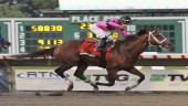 Maximum Security wins Haskell, survives inquiry
