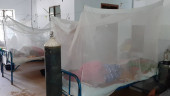 12 more dengue patients identified in Bagerhat
