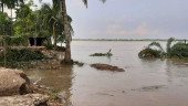 Erosion turns serious as Nabaganga, Madhumati swell