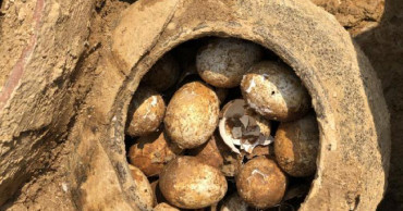 500-yr-old eggs found unbroken in Chinese tomb