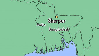 ‘UP chairman’ shoots dead farmer in Sherpur
