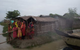 Water levels of Padma, Mohananda recede in Chapainawabganj