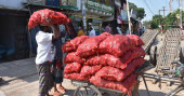 Onion prices fall in wholesale market; no effect at retail level
