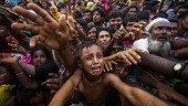 Bangladesh, China, Myanmar to jointly evaluate progress over Rohingya repatriation