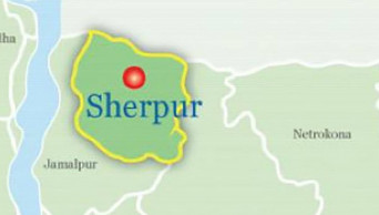 Sexagenarian slaughtered in Sherpur
