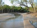 IUCN advises placing Sundarbans on ‘World Heritage in danger’ list