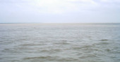 4 missing after trawler sinks in Padma River