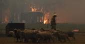 2 firefighters die, 3 hurt as wildfires ravage Australia