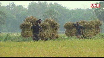 Govt to buy more paddy from farmers if necessary: Minister