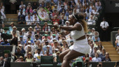 Wimbledon Glance: Williams faces Riske in quarterfinals