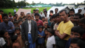 Slipping away from camps, Rohingyas collecting BD passports thru’ traffickers  