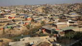 Rohingyas won’t be given forestland: Standing Committee