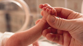 Premature birth affects brain health of infants, suggests study