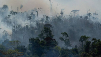Bolsonaro limits ban on fires in Brazil to Amazon only
