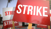 Transport workers go on 24-hr strike in Chattogram