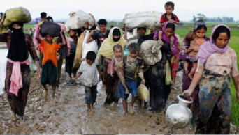 Rohingya crisis: India urges world to help Bangladesh ease its burden