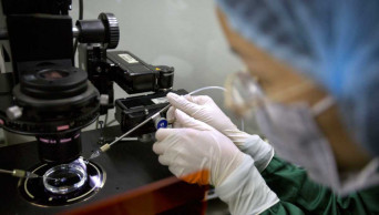 China halts work on gene-edited babies