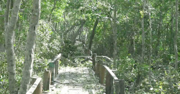 Sundarbans bears the brunt of cyclone Bulbul