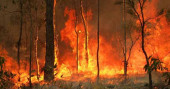 2 more confirmed dead, several missing in Australian bushfires