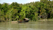 Fish worth Tk 1 cr damaged in Sundarban chars as Fethai weakens 