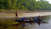 20,000 Sundarbans fishermen, woodcutters lose livelihood for sanctuary expansion