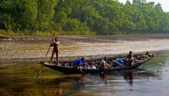 20,000 Sundarbans fishermen, woodcutters lose livelihood for sanctuary expansion