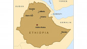 Ethiopia arrests 9 suspects in connection with terror plot in capital city