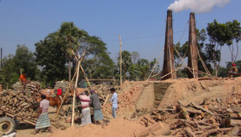 Illegal brick kilns in Faridpur, Magura fuel cropland destruction  