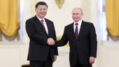 Xinhua Commentary: China, Russia set paradigm for major-country relations