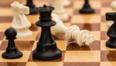 Amateur Int’l Rating Chess: Three players share top slot