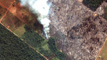 Brazil rejects $20m G7 aid to fight Amazon wildfires