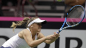 Fed Cup: France and Belarus lead 2-0; Czechs and US tied