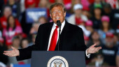 Trump says birthright citizenship will be ended