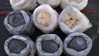 9.5kg gunpowder seized in Chapainawabganj