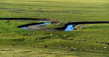 81 farm animals fall into frozen river in Mongolia